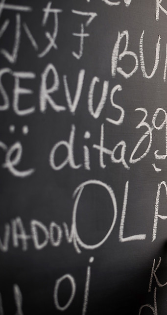 Chalkboard%20with%20Different%20Languages_edited.jpg